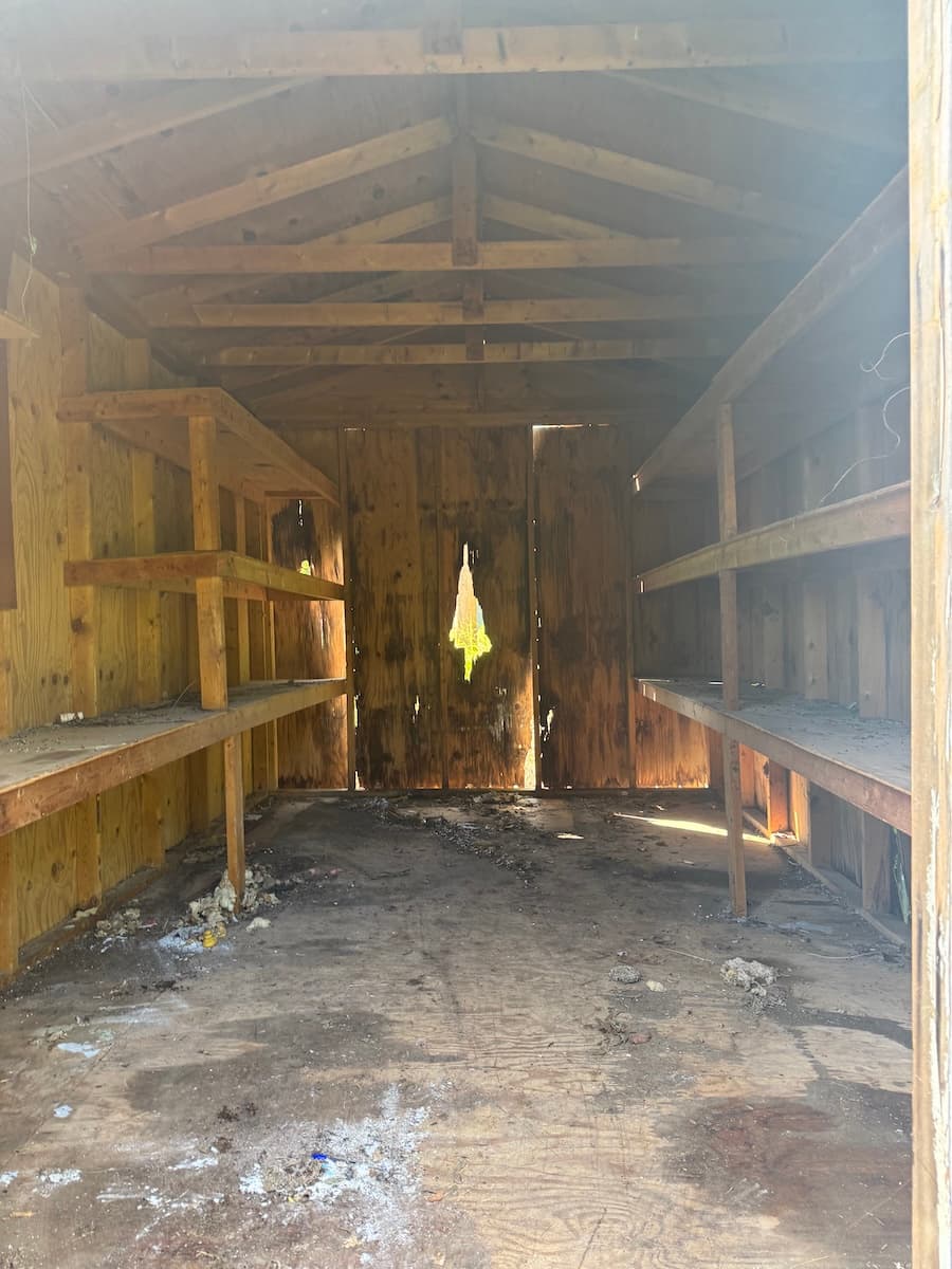 Junk removal and cleaning services
